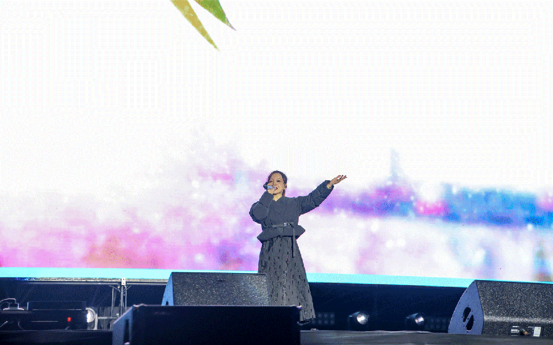 平陽體育中心群星演唱會！超萬人圍觀，現場火爆High唱！